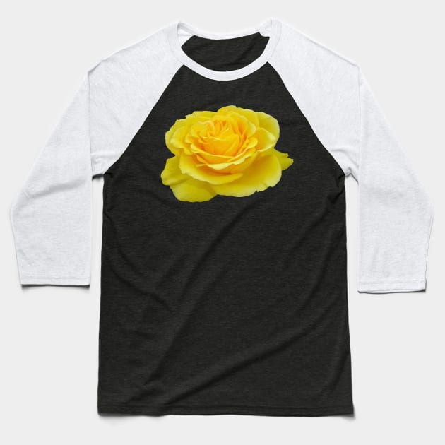 Beautiful Yellow Rose Vector Art Cut Out Baseball T-Shirt by taiche